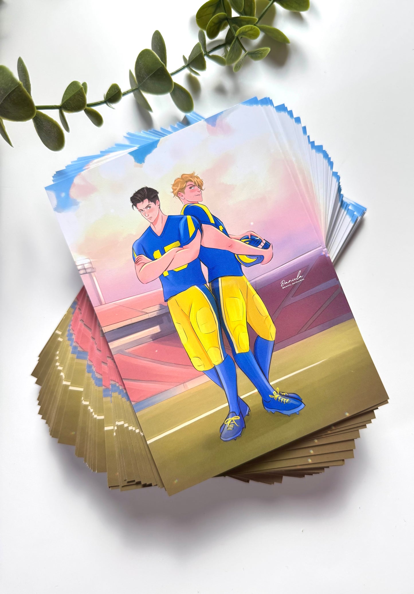 Cartolina illustrata End Zone